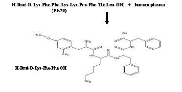 Degradation_of_PK20_in_human_plasma.JPG