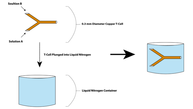 Cryo_tem.png
